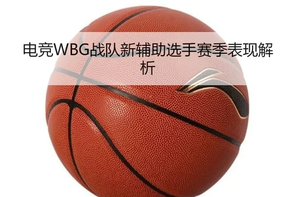 电竞WBG战队新辅助选手赛季表现解析